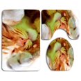 thumbnail image 1 of PUDMAD Cute Sleeping Cat 3 Piece Bathroom Rugs Set Bath Rug Contour Mat and Toilet Lid Cover, 1 of 2