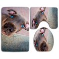 thumbnail image 1 of PUDMAD Cute Weimaraner Puppy 3 Piece Bathroom Rugs Set Bath Rug Contour Mat and Toilet Lid Cover, 1 of 2