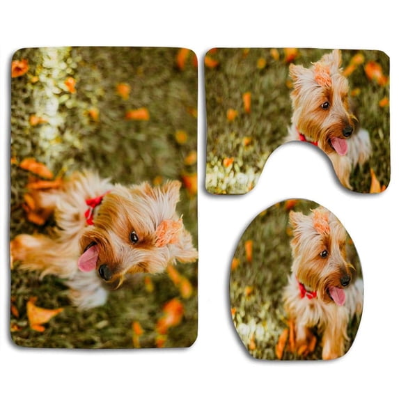 PUDMAD Fawm Australian Terrier Sitting on Grass 3 Piece Bathroom Rugs Set Bath Rug Contour Mat and Toilet Lid Cover