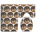 thumbnail image 1 of PUDMAD Funny Thinking Squirrel 3 Piece Bathroom Rugs Set Bath Rug Contour Mat and Toilet Lid Cover, 1 of 2