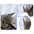 thumbnail image 1 of PUDMAD Great Horned Owl Sullen 3 Piece Bathroom Rugs Set Bath Rug Contour Mat and Toilet Lid Cover, 1 of 2