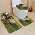 thumbnail image 1 of PUDMAD Hewitsons Longwing Butterfly Heliconius Hewitsoni 3 Piece Bathroom Rugs Set Bath Rug Contour Mat and Toilet Lid Cover, 1 of 2