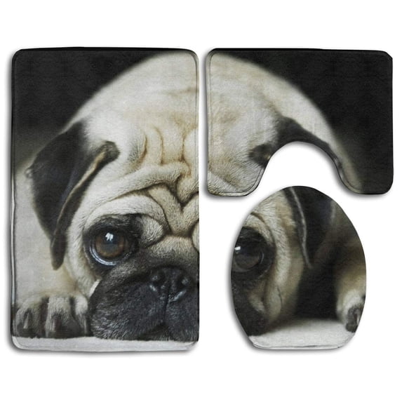 PUDMAD Pitiful Dog On Ground 3 Piece Bathroom Rugs Set Bath Rug Contour Mat and Toilet Lid Cover