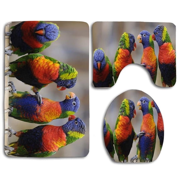 PUDMAD Rainbow Lorikeets Having Chat 3 Piece Bathroom Rugs Set Bath Rug Contour Mat and Toilet Lid Cover