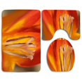 thumbnail image 1 of PUDMAD Red Flame Stamen 3 Piece Bathroom Rugs Set Bath Rug Contour Mat and Toilet Lid Cover, 1 of 2