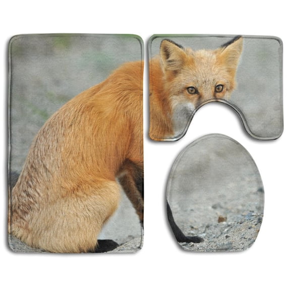 PUDMAD Sand Stone On Beautiful Red Fox 3 Piece Bathroom Rugs Set Bath Rug Contour Mat and Toilet Lid Cover