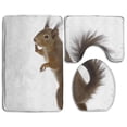 thumbnail image 1 of PUDMAD Squirrel Front 3 Piece Bathroom Rugs Set Bath Rug Contour Mat and Toilet Lid Cover, 1 of 2