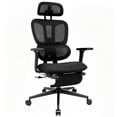 thumbnail image 1 of PUKNLY Ergonomic Office Chair with Footrest, High-back Computer Chair with Dynamic Lumbar Support, 2D Headrest & 4D Armrests, Sponge Cushion & Mesh Back, Home Office Chair for Adults, 1 of 9