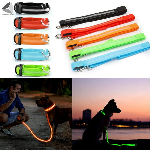 PULLIMORE LED Dog Collar and Leash Set USB Rechargeable Glowing Pet Collar Night Walking Safety Light Up Dog Collars (L, Red)