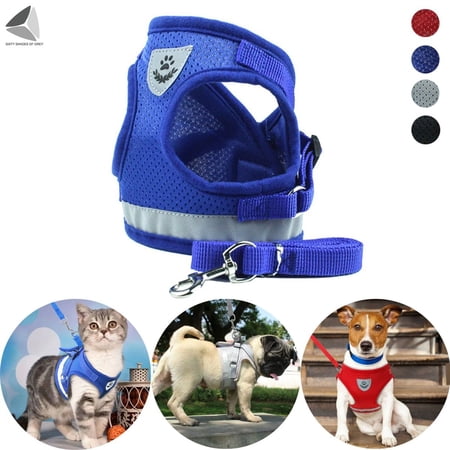 PULLIMORE No Choke Dog Harness Leash Set Adjustable Reflective Puppy Vest Harness for Small Dogs Cats (L, Blue)