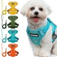 thumbnail image 1 of PULLIMORE No-Pull Dog Harness, Adjustable Breathable Vest for Small & Medium Dogs, Orange Size S, 1 of 7