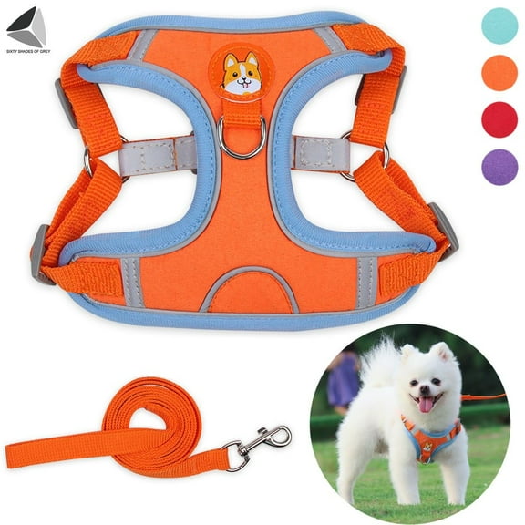 PULLIMORE No Pull Dog Harness Leash Set Reflective Adjustable Easy Control Pet Chest Vest for Small Medium Dogs (S, Orange)
