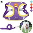 thumbnail image 1 of PULLIMORE No Pull Dog Harness Leash Set Reflective Adjustable Easy Control Pet Chest Vest for Small Medium Dogs (S, Purple), 1 of 8