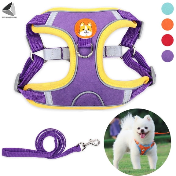 PULLIMORE No Pull Dog Harness Leash Set Reflective Adjustable Easy Control Pet Chest Vest for Small Medium Dogs (XL, Purple)