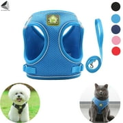 PULLIMORE No Pull Dog Harness No Choke Reflective Pet Vest Adjustable Breathable Mesh Harnesses with Leash for Small Dogs Cats Walking (M, Blue)