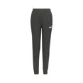 thumbnail image 1 of PUMA Boys' Core Logo Jogger, Charcoal Heather, 3T, 1 of 3