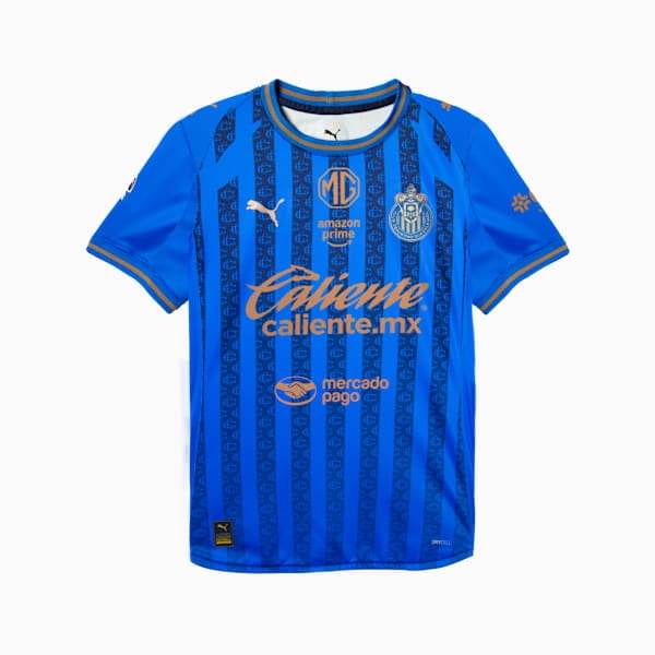 PUMA Chivas Alternative Stadium Men Soccer Jersey 25/26 - Walmart.com