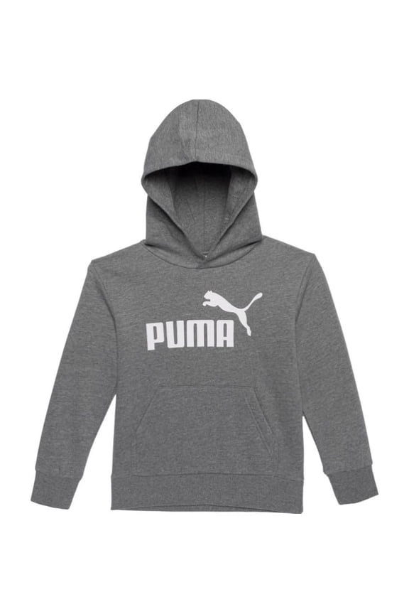 Little Boys Logo Fleece Hoodie, Charcoal Gray, 5