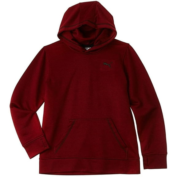 PUMA Melange Heathered Hoodie for Boys