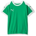 thumbnail image 1 of PUMA Mens Liga Jersey Youth - Pepper Green/White - Medium, 1 of 5