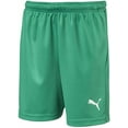 thumbnail image 1 of PUMA Unisex Liga Core Shorts Youth - Pepper Green/White - Medium, 1 of 5