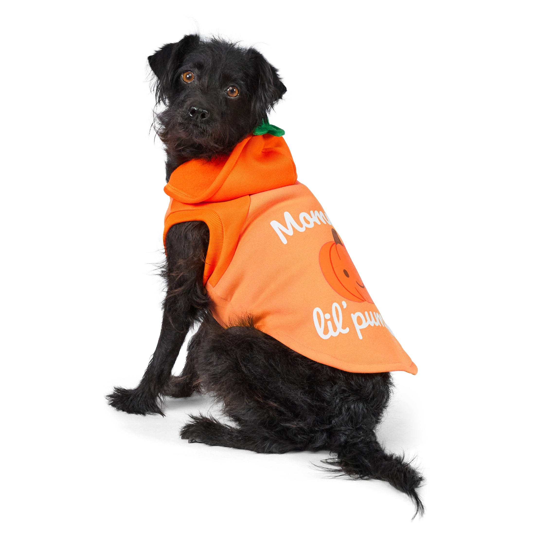 Vibrant Life Halloween Hoodie for Dogs and Cats, Mommy's Lil' Pumpkin, Orange, S