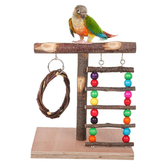 PUMYPOREITY Bird Tabletop Training Perch Play Stand, Parrot Natural Wood Stand Toy, Branch Perch Playground Gym for Parakeets Canaries Cockatiels