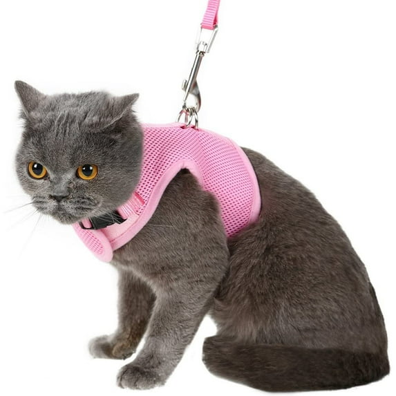 PUPTECK Adjustable Cat Harness with Leash, Checkered Frills Soft Mesh cat Vest Harness Puppy Padded Pet Harnesses for Small Medium Large Cats