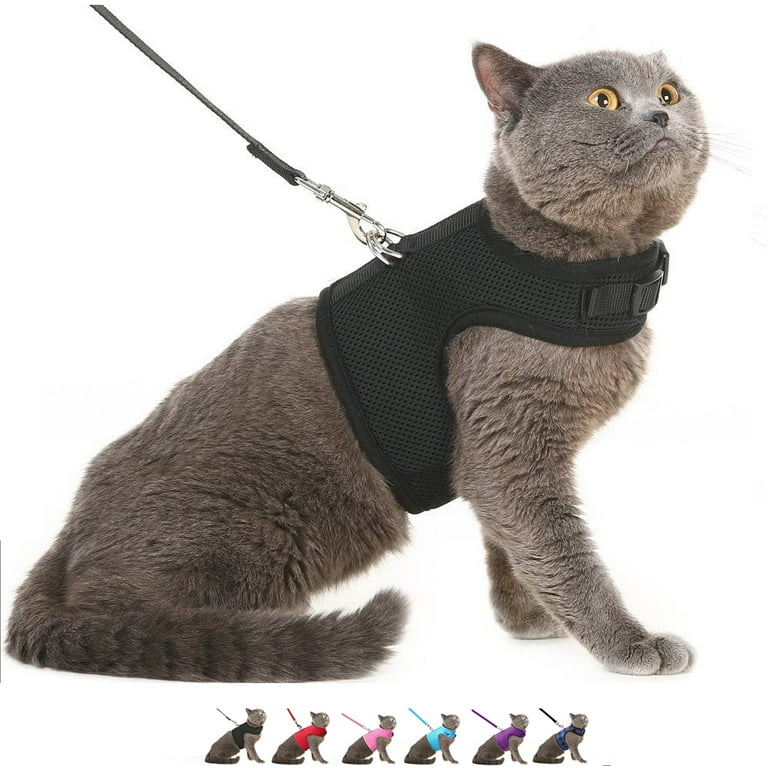 PUPTECK Adjustable Cat Harness with Leash, Checkered Frills Soft