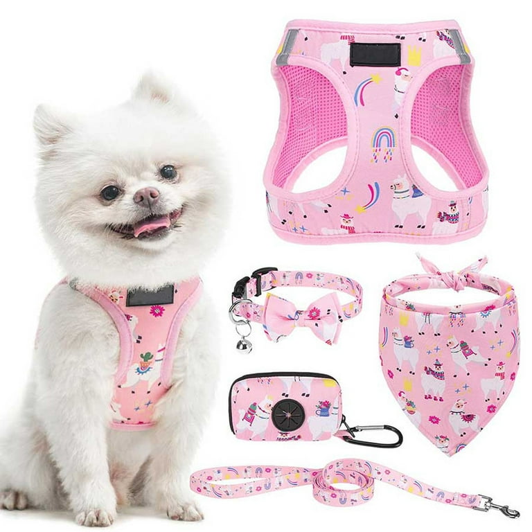 PUPTECK Adjustable Dog Harness Collar and Leash Set, Step in No