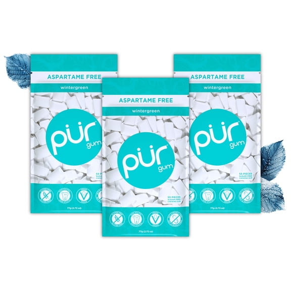 PUR Gum, Aspartame Free, Sugar Free & 100% Xylitol, Wintergreen Chewing Gum, 55 Pieces, Pack of 3