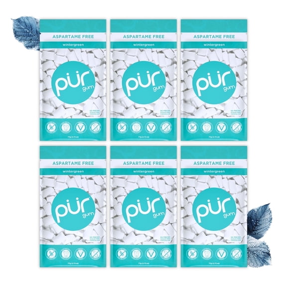 PUR Gum, Aspartame Free, Sugar Free & 100% Xylitol, Wintergreen Chewing Gum, 55 Pieces, Pack of 6