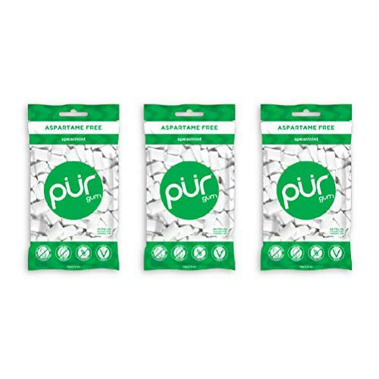 Pur Chewing Gum Spearmint Piece Bag 1 ct