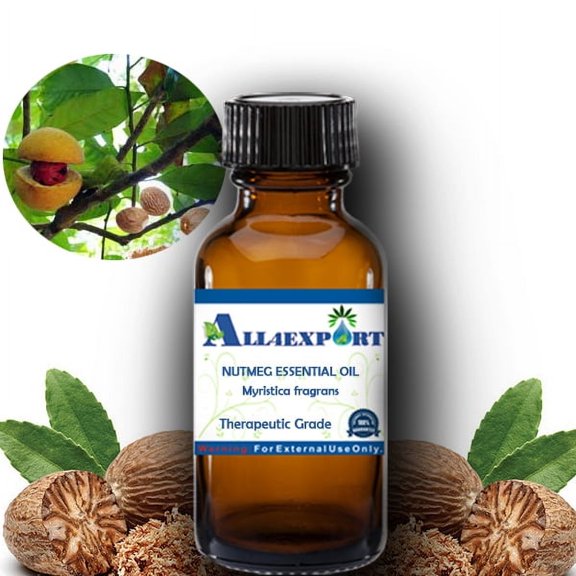 PURE NUTMEG ESSENTIAL OIL Myristica fragrans THERAPEUTIC NATURAL ESSENTIAL OIL