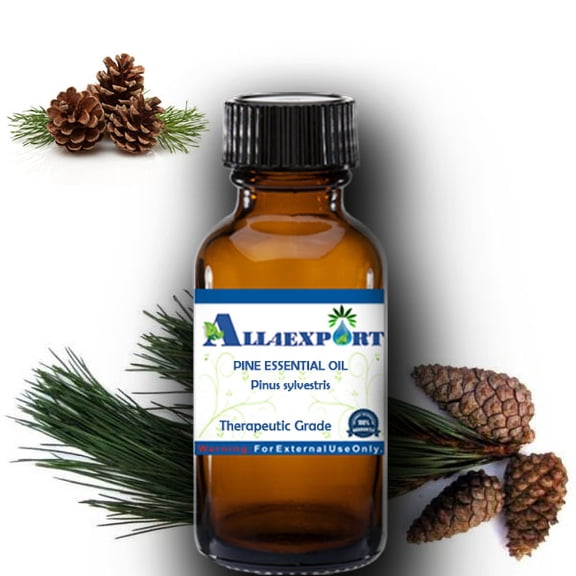 PURE PINE ESSENTIAL OIL Pinus sylvestris THERAPEUTIC NATURAL ESSENTIAL OIL