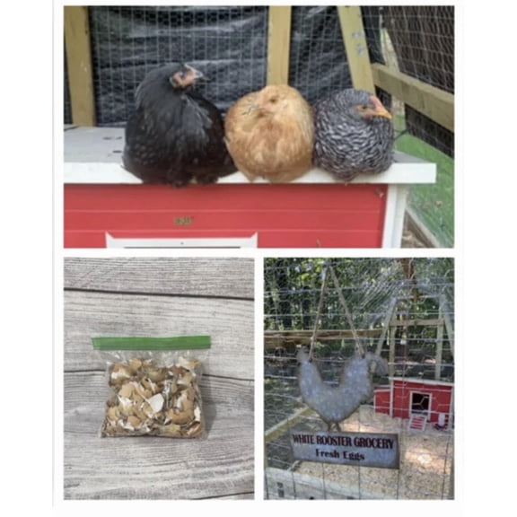 PURELY- Egg Crushed Shells Brown Fertilizer Organic Calcium Eggshells Garden 1/2 Pound