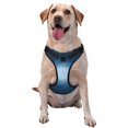 thumbnail image 1 of PUREYAH No-Pull Dog Harness, Adjustable Spiral Gradient Dots Reflective Oxford Vest Pet Harness for X-Large Dogs, 1 of 7