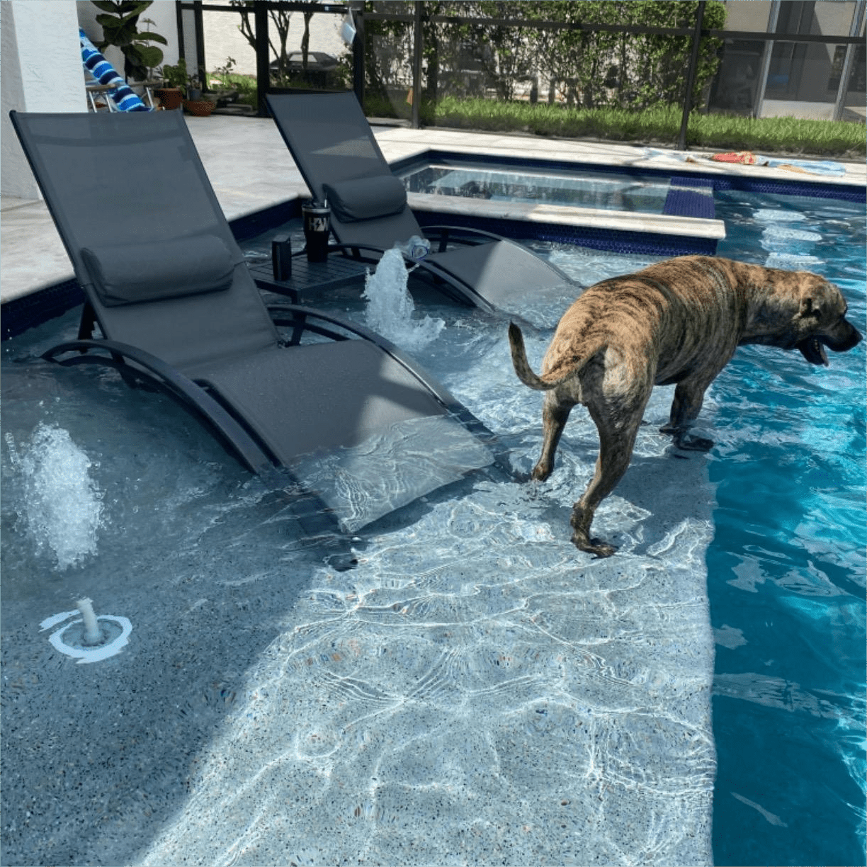 PURPLE LEAF Patio Chaise Lounge Set of 3 Outdoor Lounge Chair Beach Pool Sunbathing Lawn Lounger Recliner Chiar Outside Tanning Chairs with Arm for All Weather, Side Table Included, Black