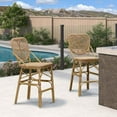 thumbnail image 1 of PURPLE LEAF Outdoor Bar Chairs,French Counter Height Bar Stools Set of 2 Patio Rattan Aluminum Bamboo Pattern Finish Barstools with Back for Pool Garden Kitchen Island, Brown, 1 of 6