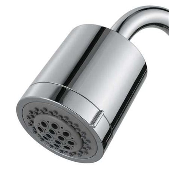 PVC 2 Function Shower Head Chrome