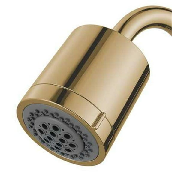 PVC 2 Function Shower Head Polished Brass