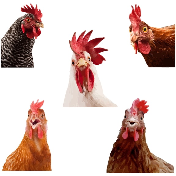 PVC Wall Stickers Wall Decoration Rooster Pattern 390x900mm diy