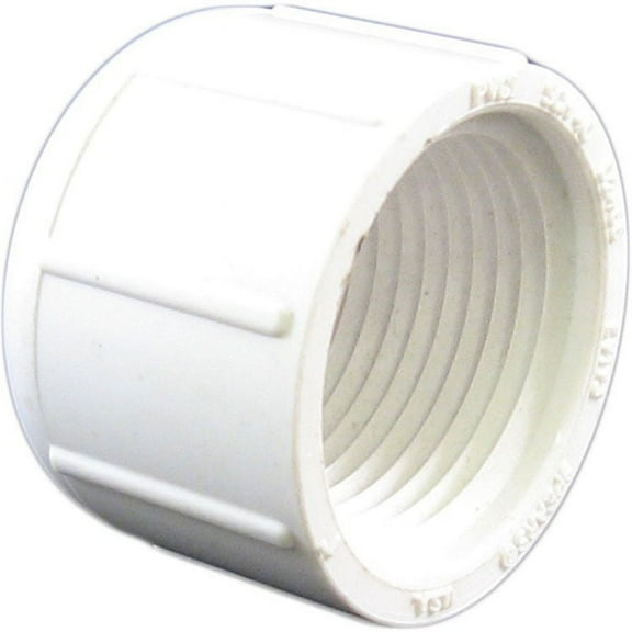 PVCCAP1T Schedule 40 PVC Threaded Cap, 1 Inch
