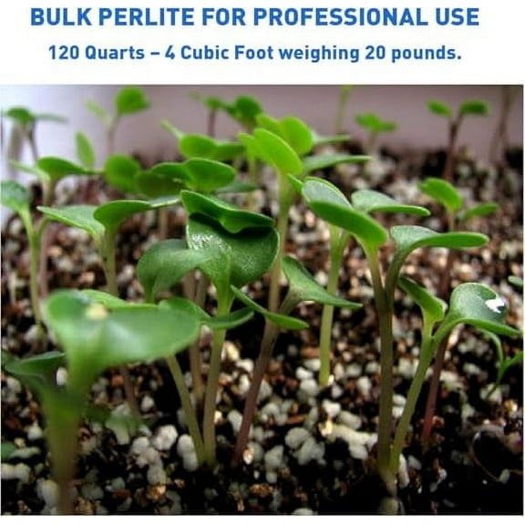 PVP Industries Organic Perlite Planting Soil Additive, White, 4-Cubic Feet