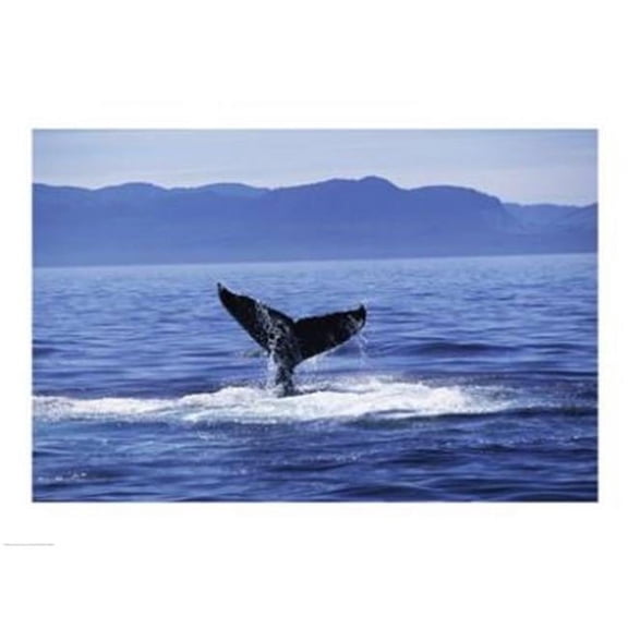 PVT/Superstock SAL13704929 Tail fin of a Humpback Whale in the sea  Alaska  USA -24 x 18- Poster Print