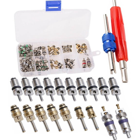PVUEL 100Pcs Car Auto Air Conditioning Valve Core with Refrigerant Tire Stem Core Remover Tool Kit