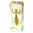 thumbnail image 1 of PW307 Paperweight Large Praying Mantis, 1 of 3