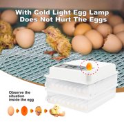 PWTOOL Egg Incubator with Humidity Control, Temperature Control, Automatic Egg Turning and Water Adding, Incubators for Hatching Eggs, Egg Candler for 120 Chickens