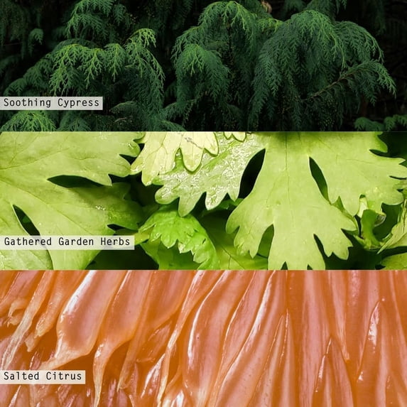 PYAN-Beautifully Done Essentials Hinoki Sage Vanity Tin Scented Candle