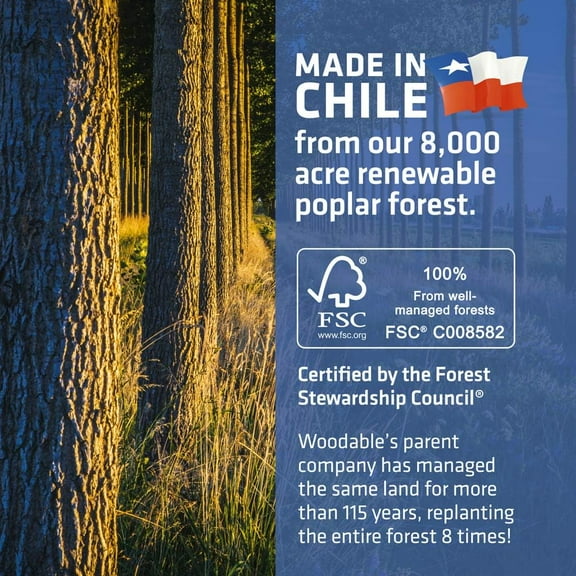 PYAN-Disposable Wooden Cutlery Set - 100% Home Compostable - 100 Spoons 6.5", Bamboo Utensils Alternative, Eco-Friendly, Organic, Sustainable and Carbon Neutral Certified